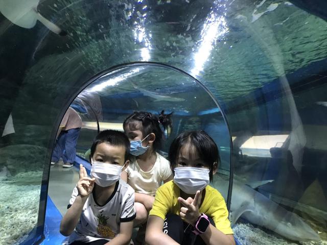 福州罗源湾海洋世界攻略（福建遛娃之福州罗源湾海洋世界）(15)