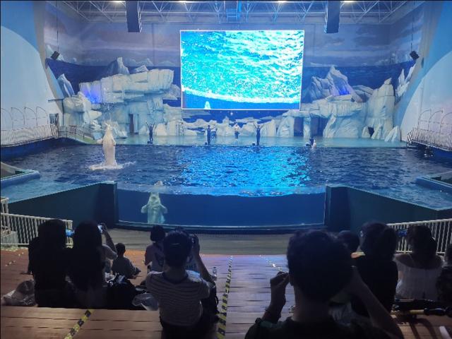 福州罗源湾海洋世界攻略（福建遛娃之福州罗源湾海洋世界）(29)
