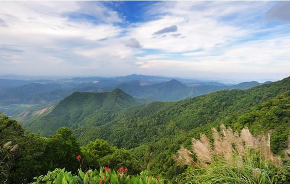 佛山十大旅游景点你去过几个（广东佛山最著名的十五大景点）(8)