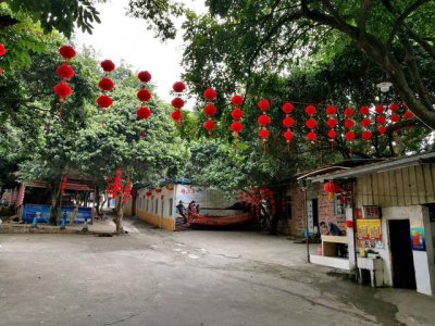 ​顺德龙眼村美食农庄（广州城市农家乐享受自然的味道）