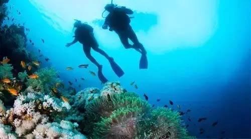 南沙群岛自由行旅游攻略（寸土必争的南海）(17)
