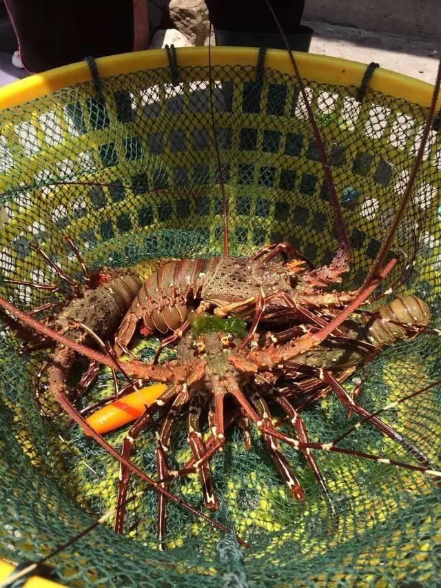 南沙群岛自由行旅游攻略（寸土必争的南海）(22)
