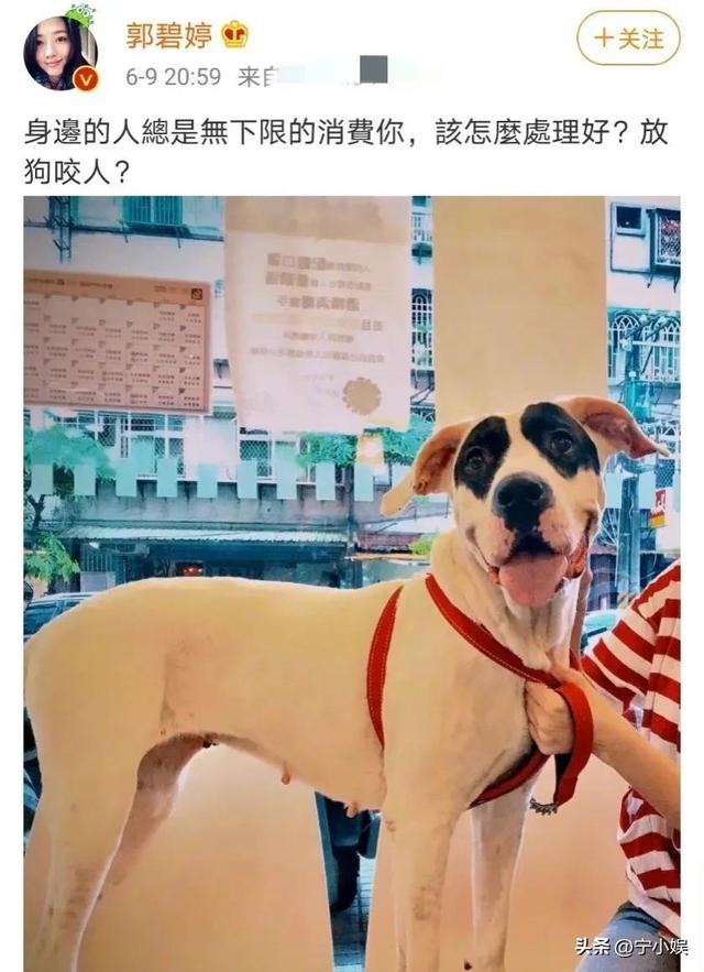 脾气非常暴躁有家暴倾向的6大男星（妻子怀孕还不安分的6位男星:有人家庭破碎）(5)