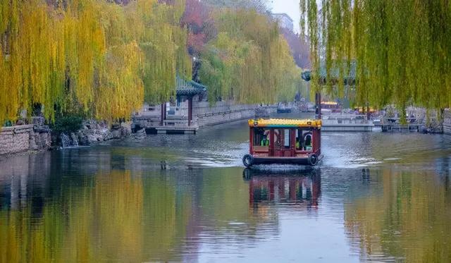 老舍笔下济南的冬天是怎么样的（这个时节来济南）(16)