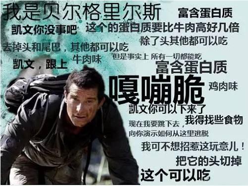明星谈跟着贝尔去冒险（众明星跟着贝尔去冒险今晚21:20首登东方卫视）(7)