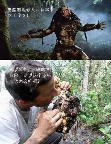 明星谈跟着贝尔去冒险（众明星跟着贝尔去冒险今晚21:20首登东方卫视）(13)