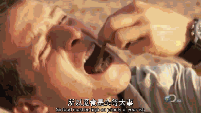明星谈跟着贝尔去冒险（众明星跟着贝尔去冒险今晚21:20首登东方卫视）(9)