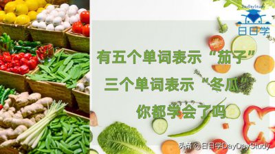 ​冬瓜用英语表示（有5个单词表示茄子）