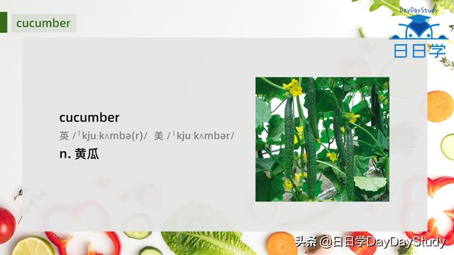 冬瓜用英语表示（有5个单词表示茄子）(5)