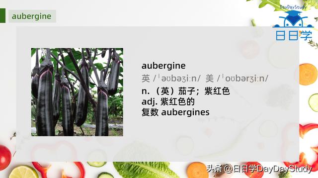 冬瓜用英语表示（有5个单词表示茄子）(3)