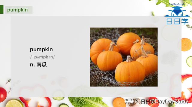 冬瓜用英语表示（有5个单词表示茄子）(6)