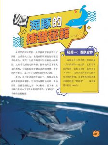 ​关于海豚的资料（有关海豚的简介）