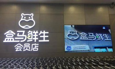 ​盒马鲜生：做题家、造词人与大厂梦