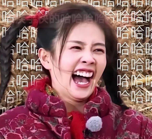 网络图片(侵删)