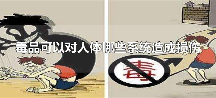 毒品可以对人体哪些系统造成损伤
