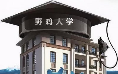 ​郑大211都什么专科（一所不存在的大学）