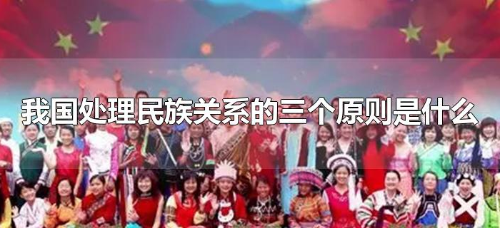 我国处理民族关系的三个原则是什么