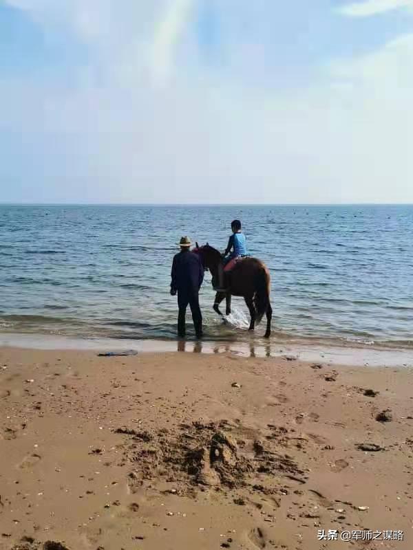 大连周边赶海最好的海岛（推荐一个大连周边免费赶海）(4)