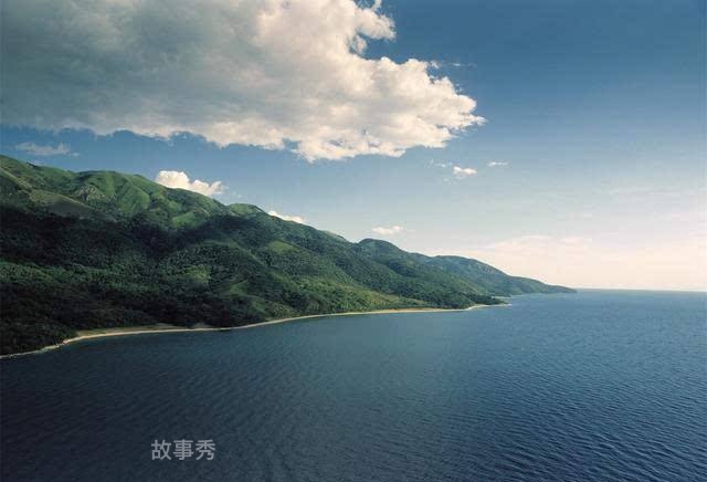 网络图片(侵删)