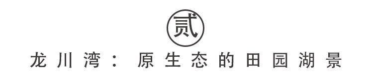 上海出发去千岛湖最佳路线（12月上海市民只要有这张高铁票）(6)