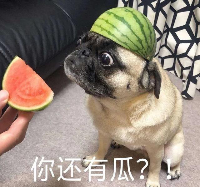 韩婧格事件是真的么（韩婧格事件聊天记录）(12)