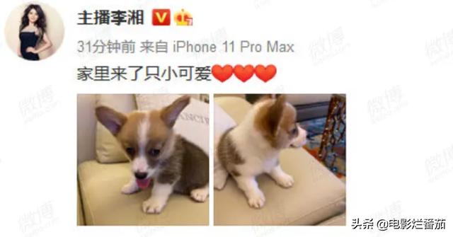王岳伦几段婚史（王岳伦官宣离婚）(12)