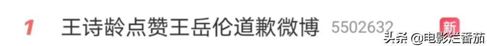 王岳伦几段婚史（王岳伦官宣离婚）(14)