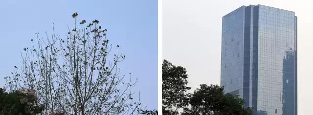 多重曝光技巧（怎么玩好多重曝光）(9)
