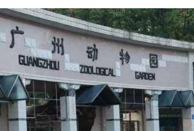 广州动物园门票价格，广州动物公园营业时间是几点到几点？票价是多少？图3