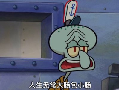 ​大肠包小肠是什么梗（人生无常大肠包小肠是什么意思）