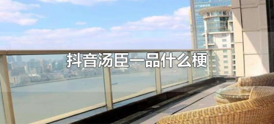 ​抖音汤臣一品什么梗（关于汤臣一品抖音段子）