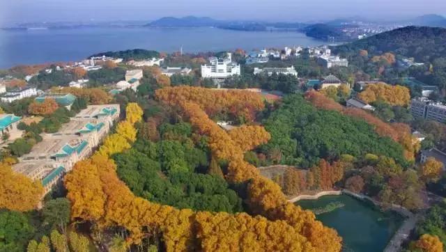 95个专业排名前十的大学（各省份最好的大学及专业汇总）(8)