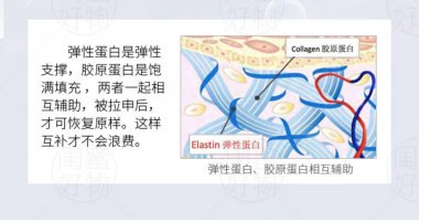​蛋白肽粉的正确吃法