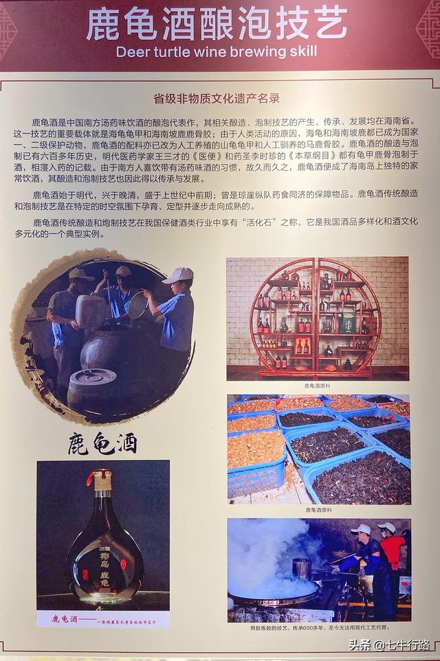 海南环岛自驾游五日游（攻略03海南也就看海）(44)