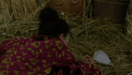 鞠婧祎与孙怡合照（同样是演被绑架）(15)