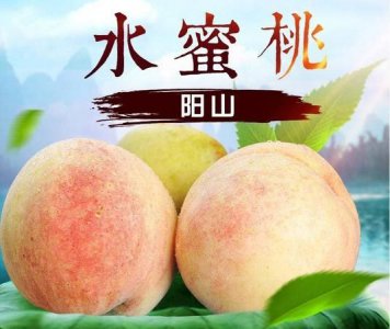 ​阳山水蜜桃怎么保存,阳山水蜜桃怎么保存时间久
