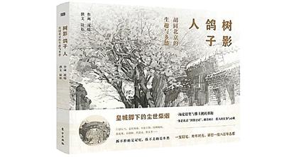 老北京百花深处胡同（荷风吹落是乡愁）(3)
