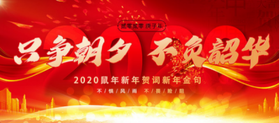 ​只争朝夕不负韶华,不负青春不负韶华只争朝夕的意思