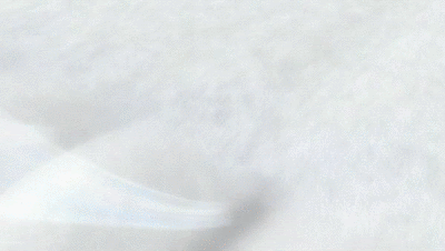 耐穿的抑菌儿童内裤（抗菌率达90以上3A级别认证）(14)