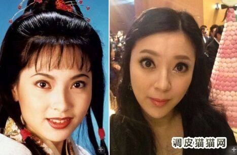傅明宪叶剑波离婚原因是什么 傅明宪整容前后对比照流出