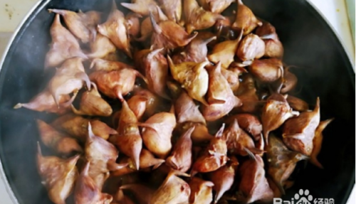 煮菱角要放盐 煮菱角要不要放盐