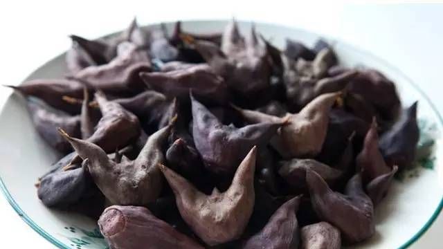 煮菱角怎么煮好吃