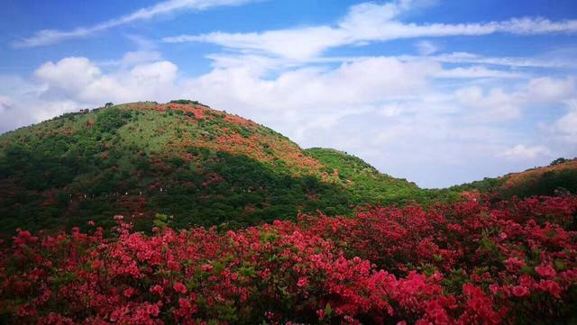 长沙十大旅游景点排名（长沙15大著名旅游景点）(13)