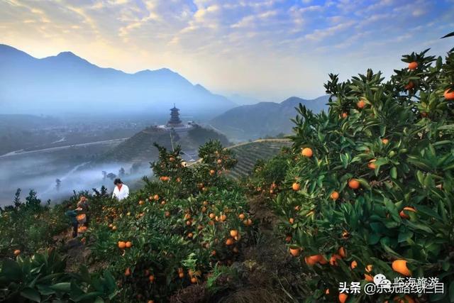 临海旅游攻略必去十大（春节去哪儿冬日临海）(5)