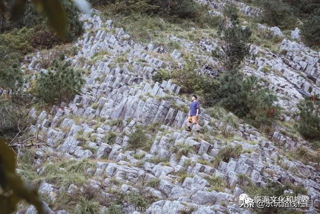 临海旅游攻略必去十大（春节去哪儿冬日临海）(45)