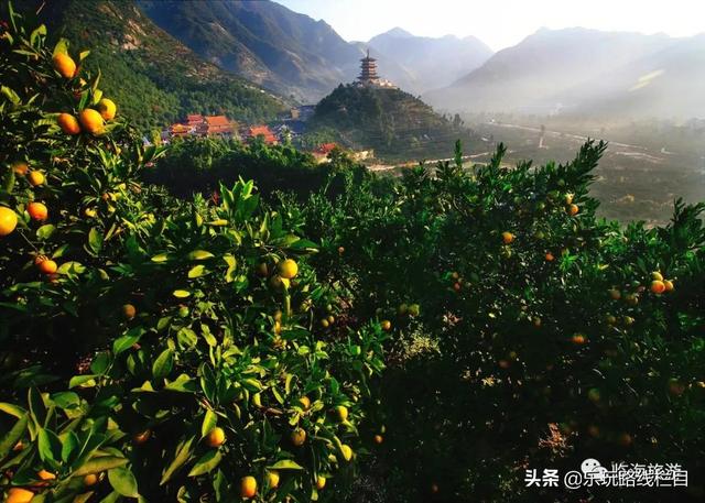 临海旅游攻略必去十大（春节去哪儿冬日临海）(6)