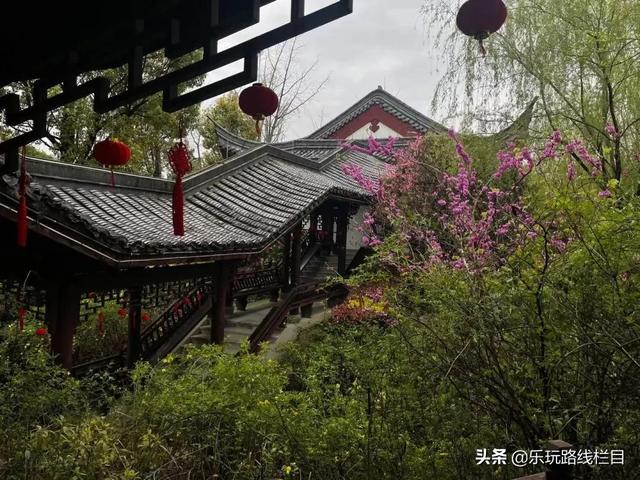 临海旅游攻略必去十大（春节去哪儿冬日临海）(16)