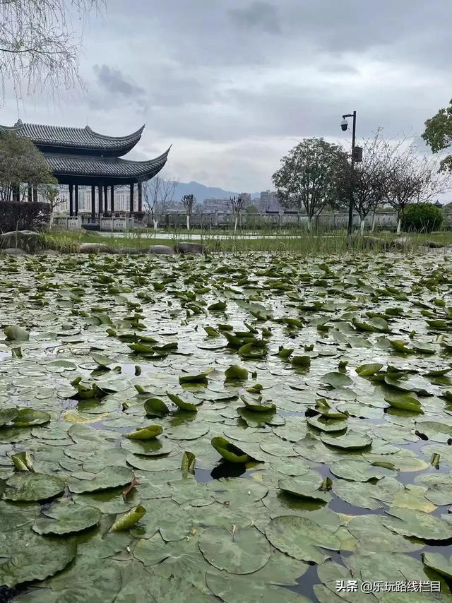 临海旅游攻略必去十大（春节去哪儿冬日临海）(15)