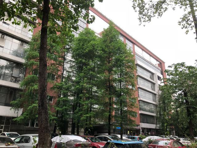 暨南大学广州（这就是暨南大学）(1)