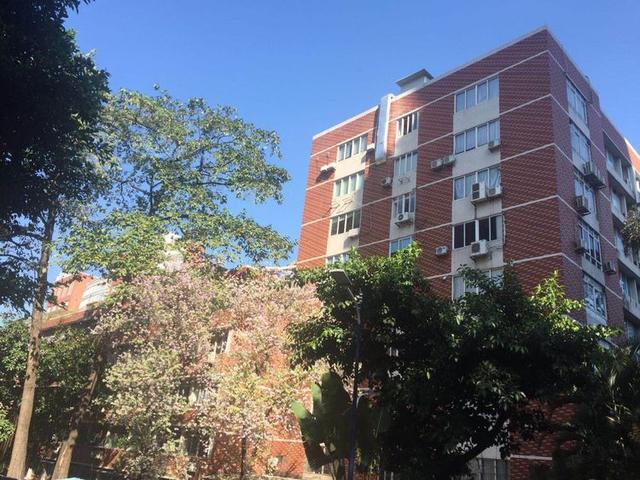 暨南大学广州（这就是暨南大学）(5)